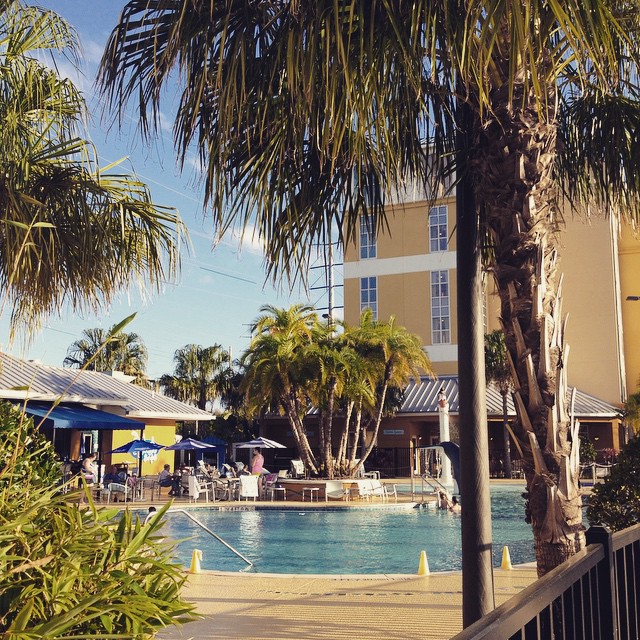 Oh hey #Florida ! #thisiswork #seasons52
